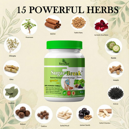 Sugar Break Powder - Ayurvedic Formula for Diabetes Care (300g)