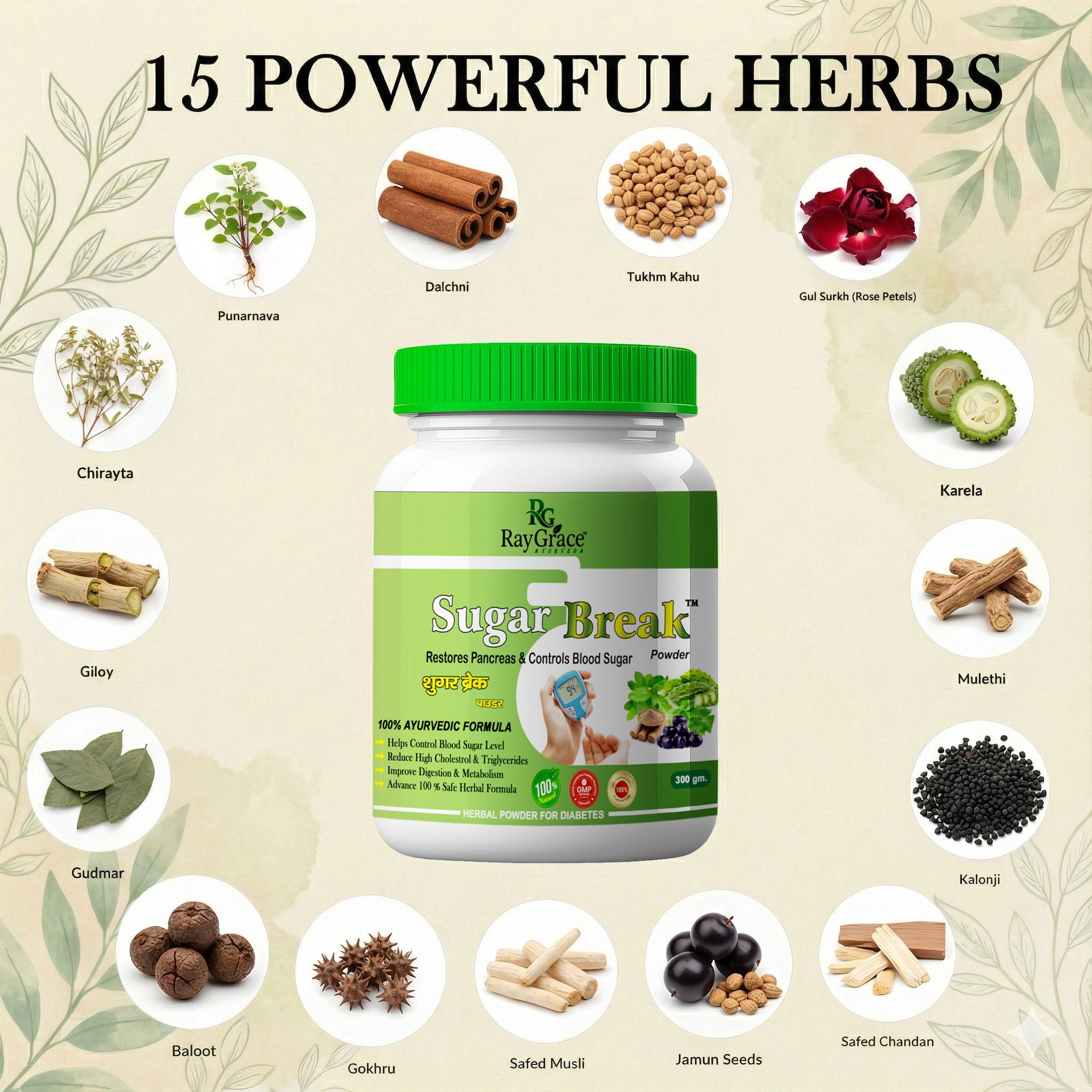 Sugar Break Powder - Ayurvedic Formula for Diabetes Care (300g)