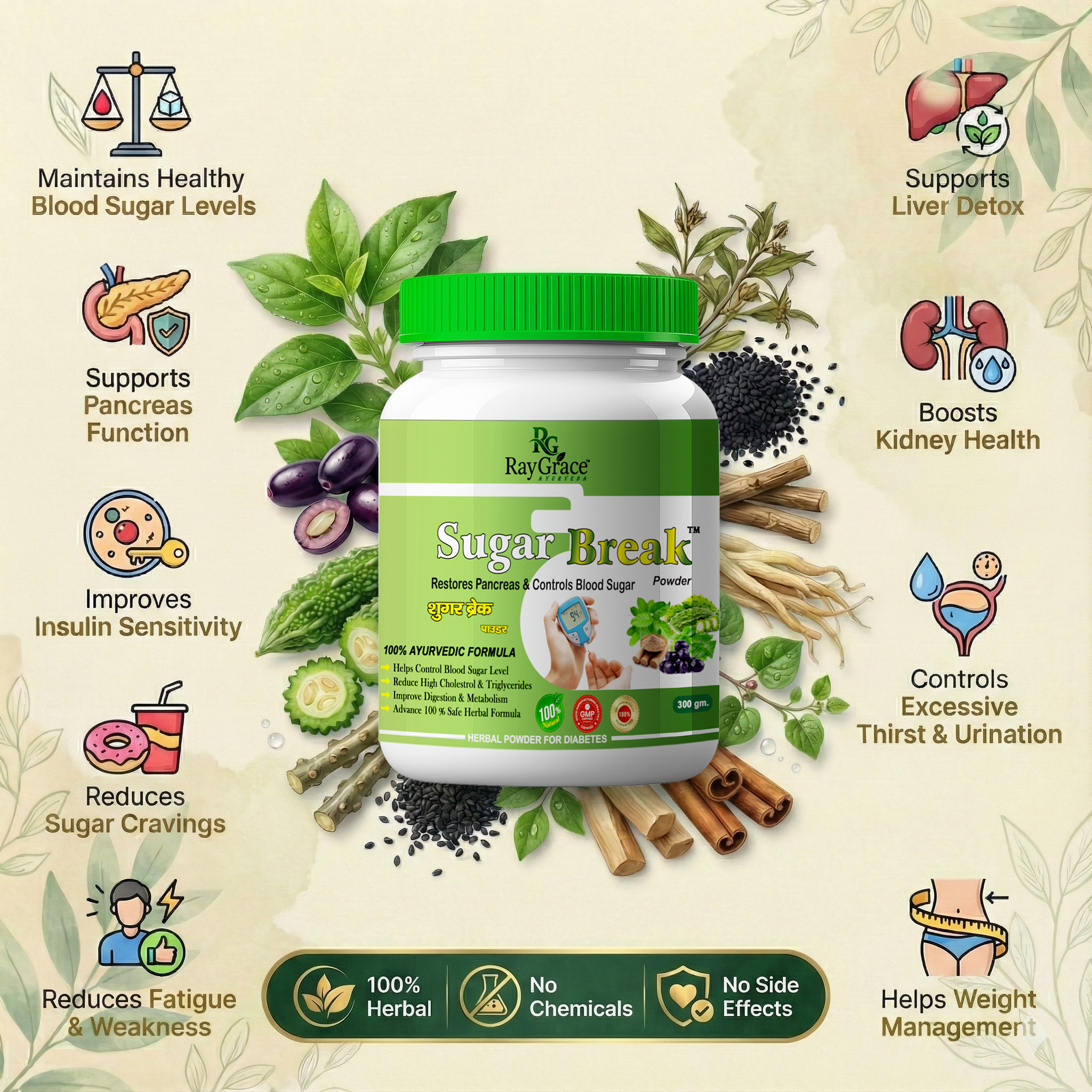 Sugar Break Powder - Ayurvedic Formula for Diabetes Care (300g)