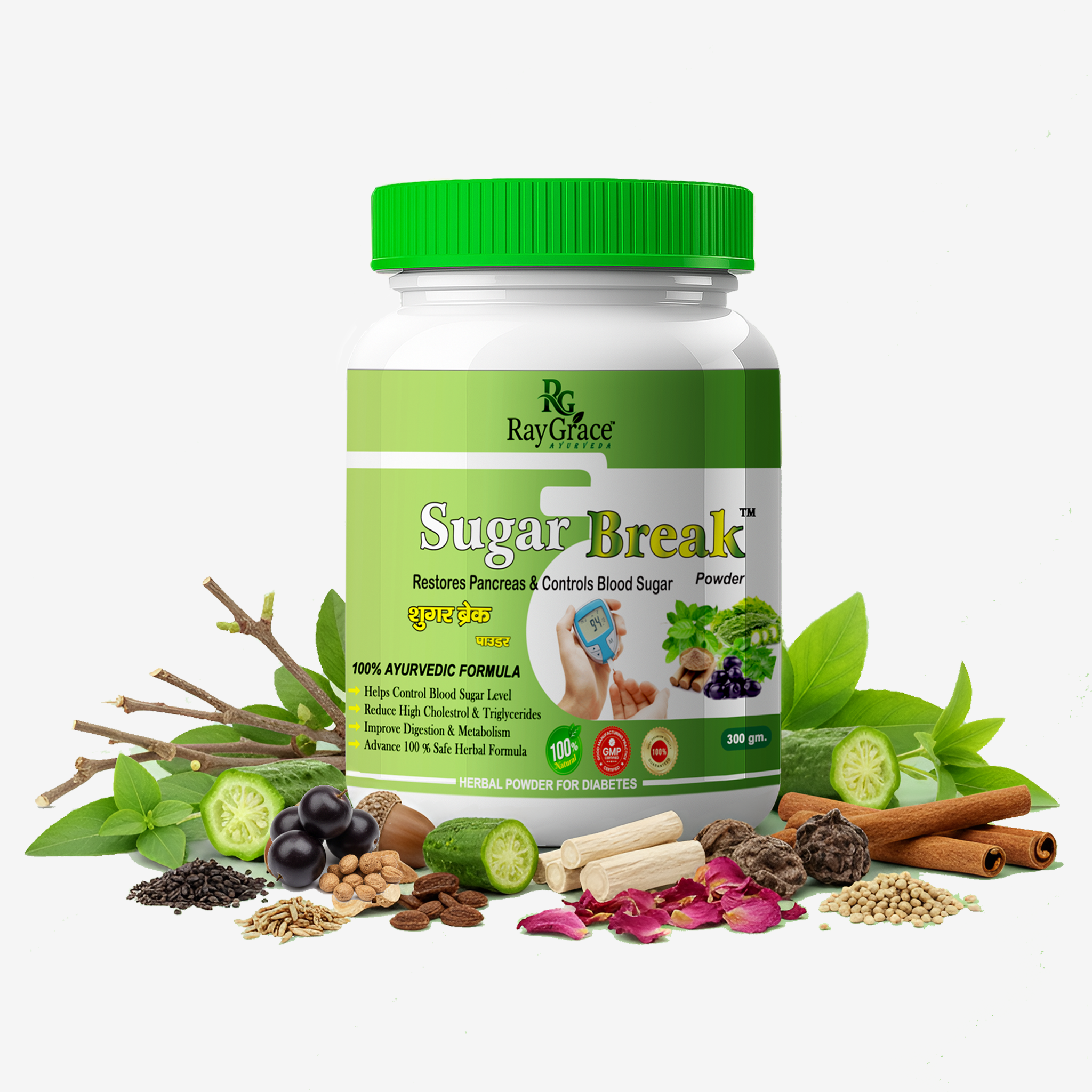 Sugar Break Powder - Ayurvedic Formula for Diabetes Care (300g)